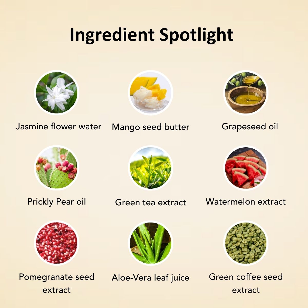 Revive - Under Eye Cream