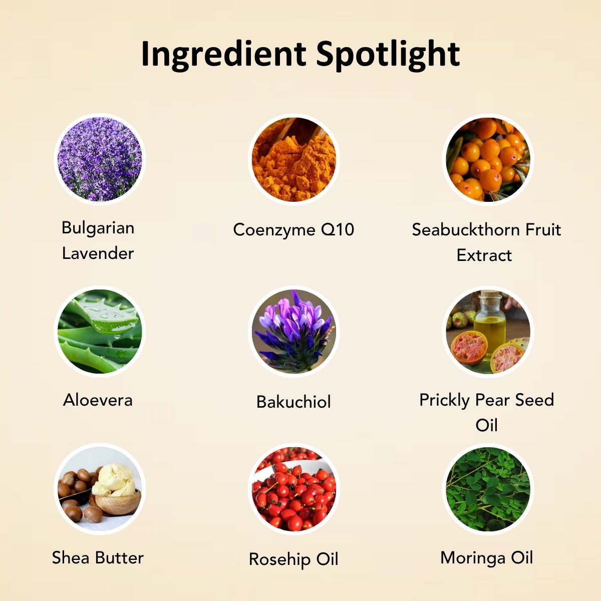 DUSK Moisturizer - Nightly Renewal with Lavender and Bakuchiol